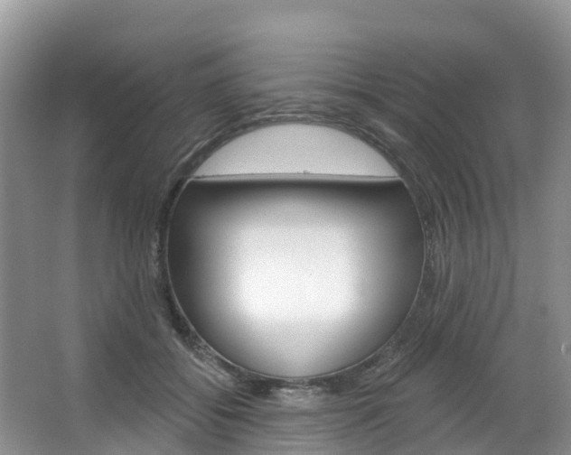X0000067470556200604070955