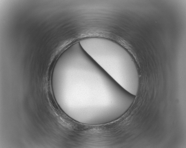 X0000067470578200604070955
