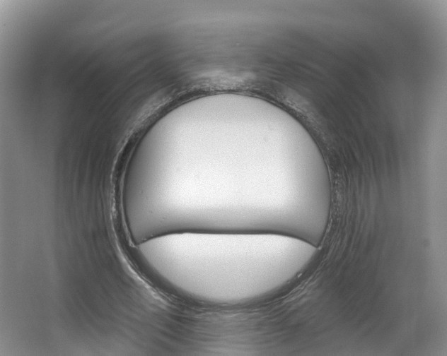 X0000067470582200604070955