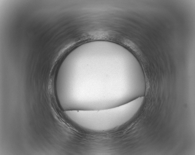 X0000067470583200604070955
