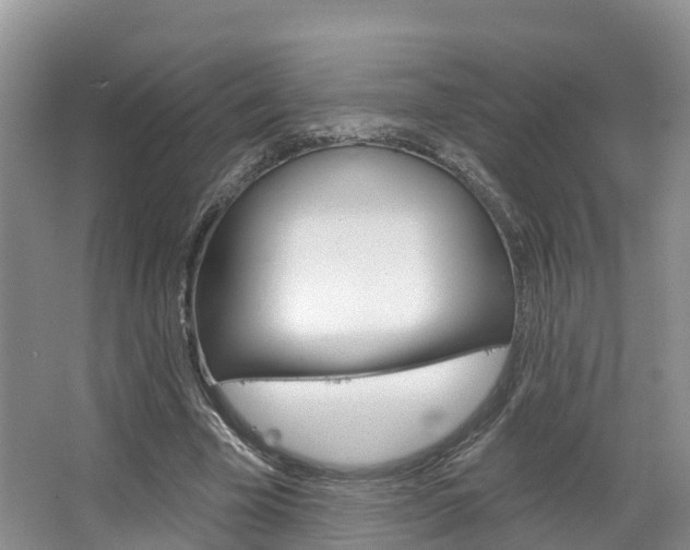 X0000067470585200604070955