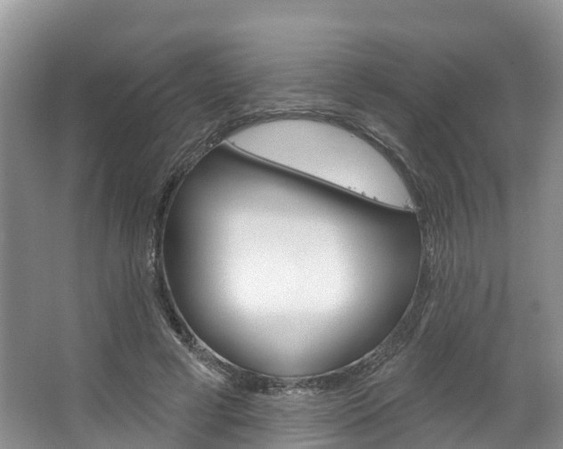 X0000067470593200604070955