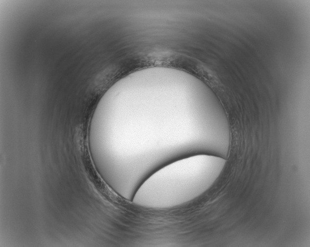 X0000067470594200604070955