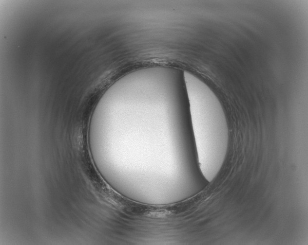 X0000067470595200604070954