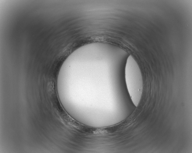 X0000067470603200604070954