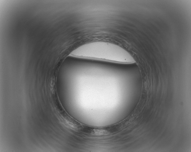 X0000067470605200604070954