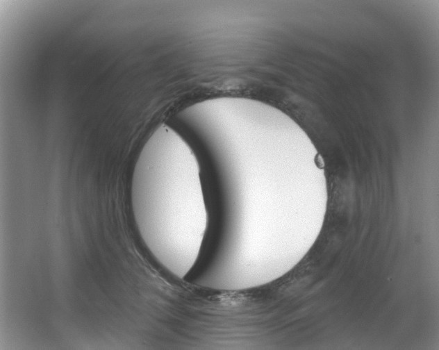 X0000067470612200604070954