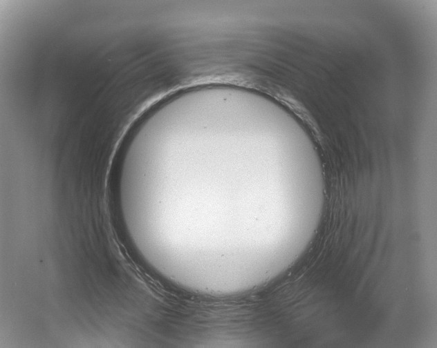 X0000067470628200604070953