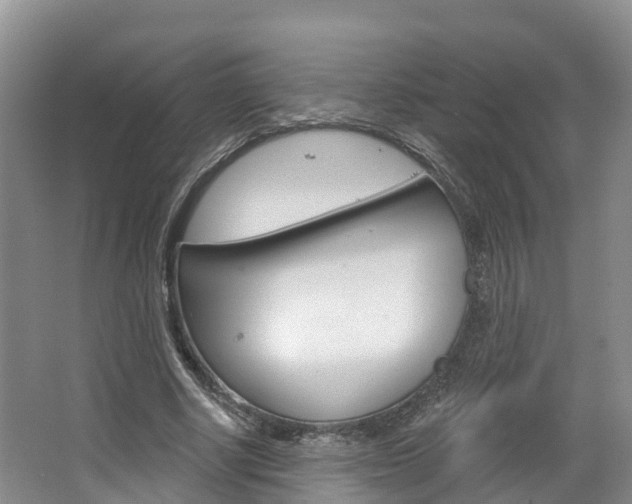 X0000067470634200604070953