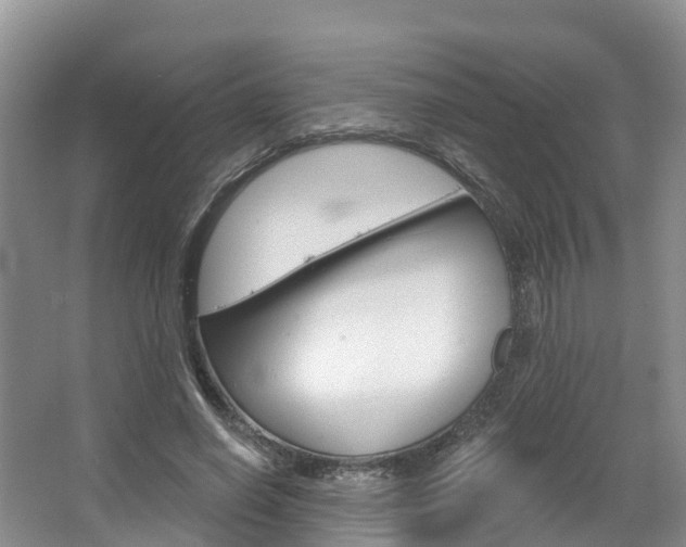 X0000067470638200604070953
