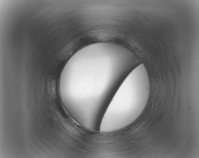 X0000067470646200604070954