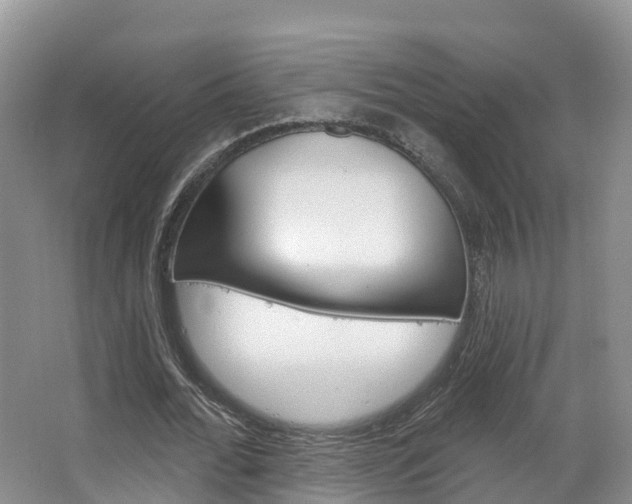 X0000067470676200604070953