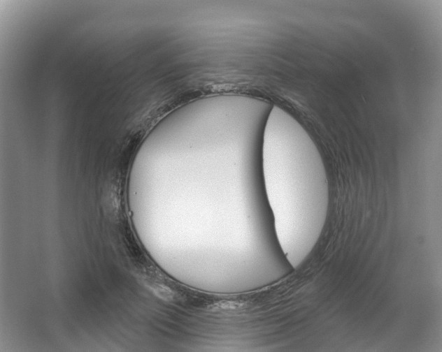 X0000067470691200604070953