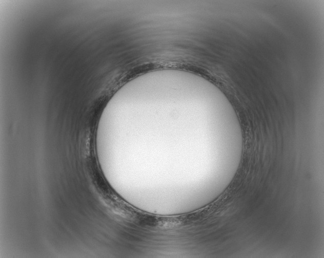 X0000067470694200604070953