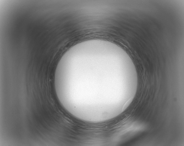 X0000067470701200604070953