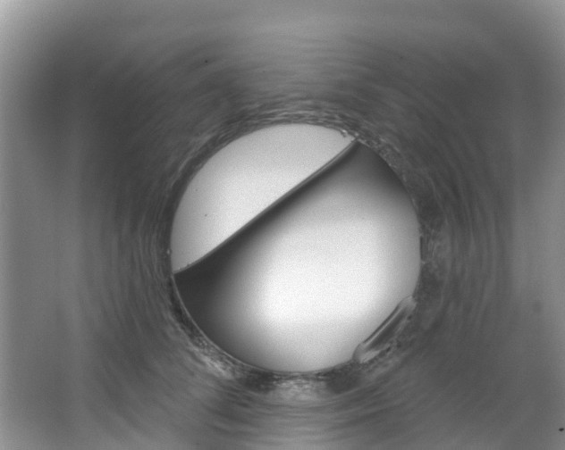 X0000067470708200604070953