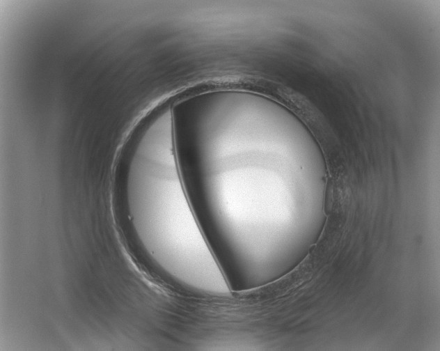 X0000067470728200604070952