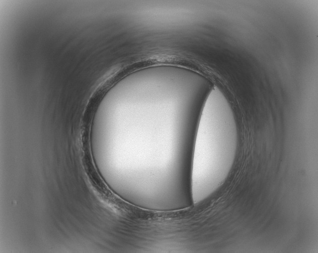 X0000067470730200604070952