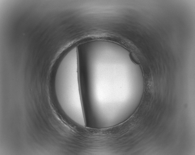 X0000067470732200604070952