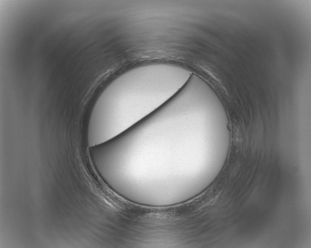 X0000067470733200604070952