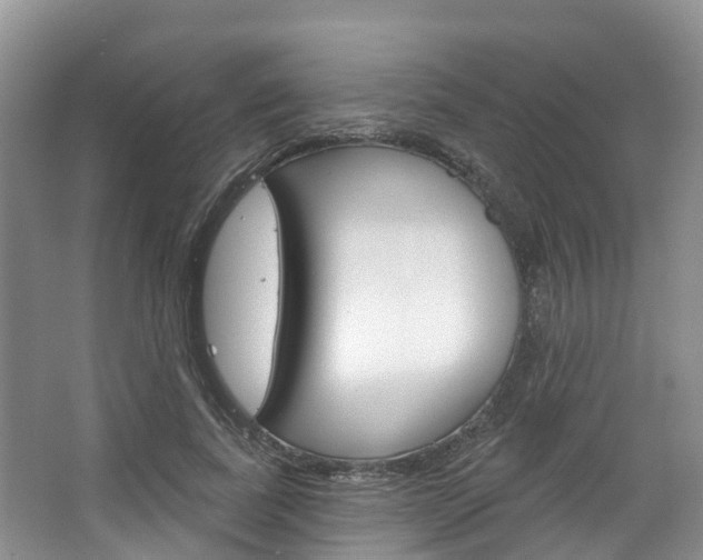 X0000067470739200604070952