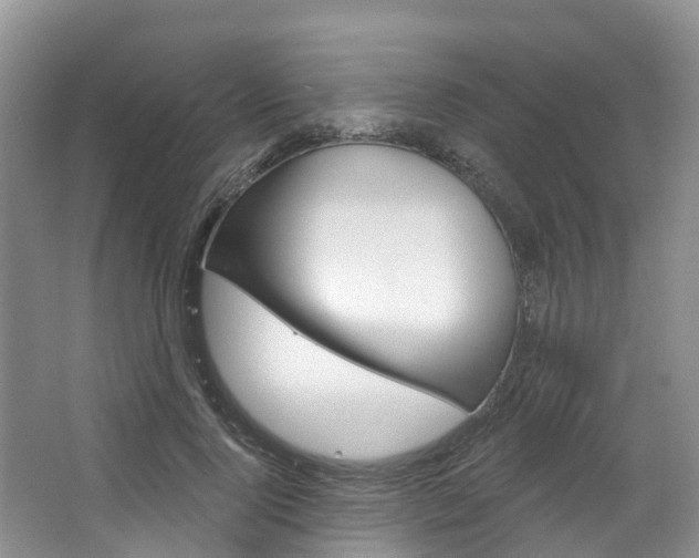 X0000067470740200604070952