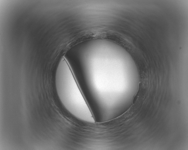 X0000067470748200604070952