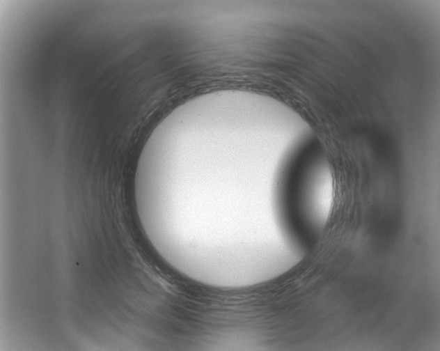 X0000067470750200604070952