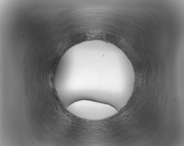 X0000067470770200604070952