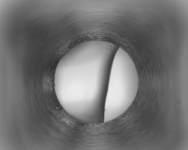 X0000067470772200604070952