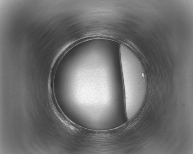 X0000067470788200604070951