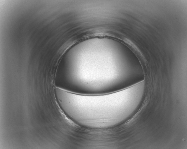X0000067470801200604070951