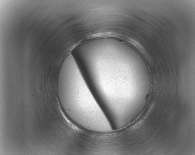 X0000067470849200604070950