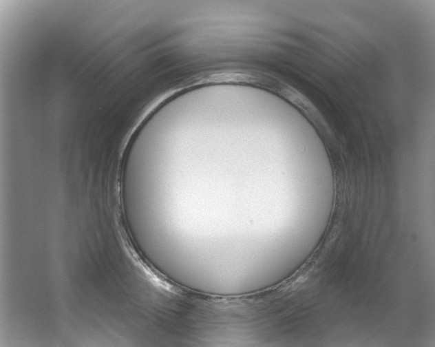 X0000067470852200604070951