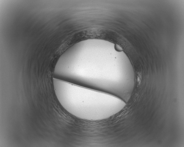 X0000067470867200604070950