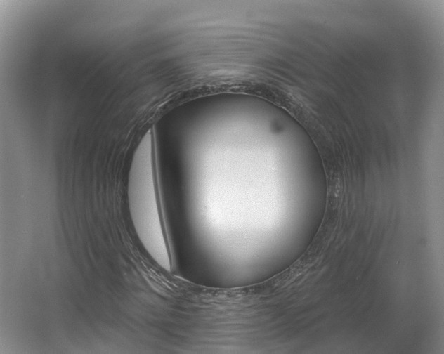 X0000067470868200604070950