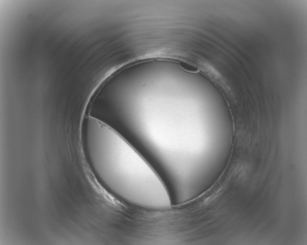 X0000067470892200604070949