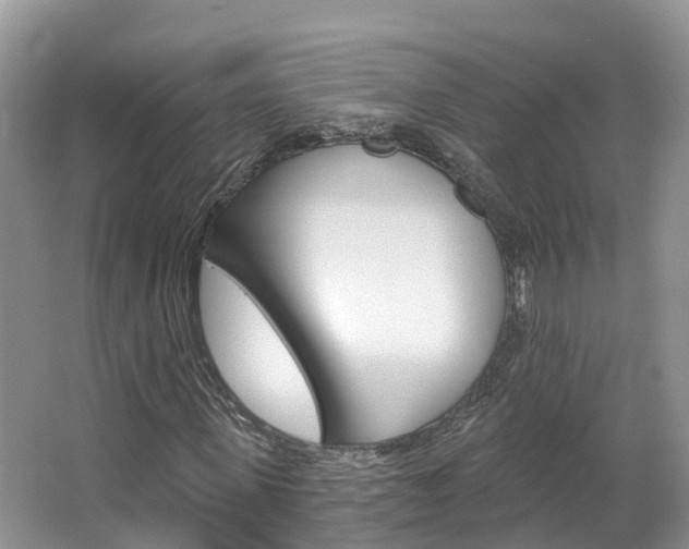 X0000067470915200604070948