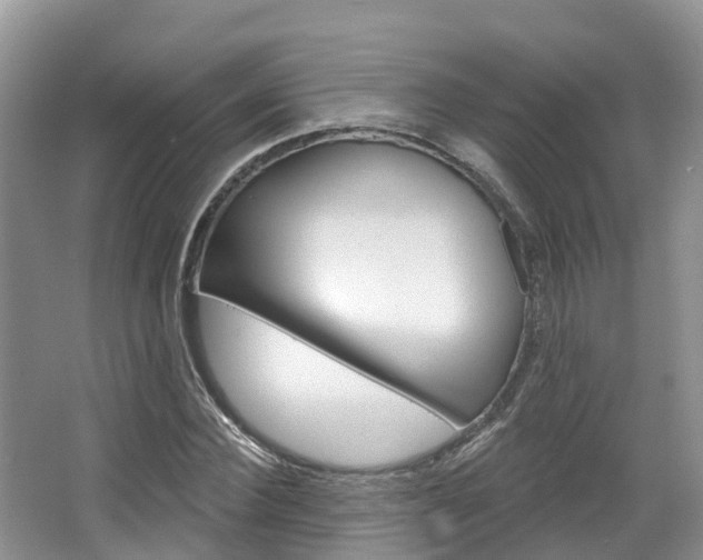 X0000067470924200604070949