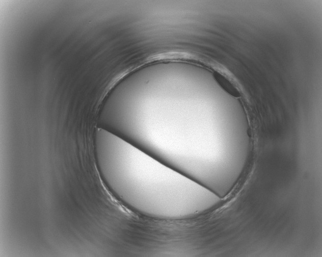 X0000067470945200604070949