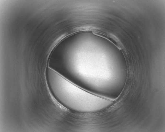 X0000067470946200604070949