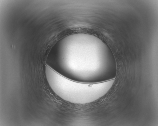 X0000067470965200604070948