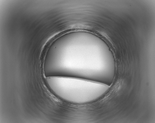 X0000067470971200604070948