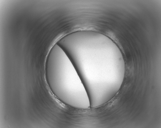 X0000067471002200604070948