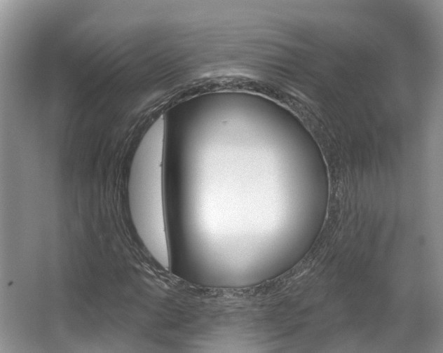 X0000067471014200604070947