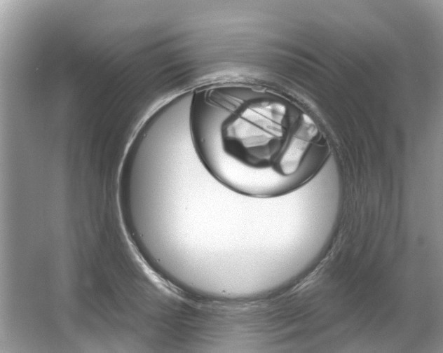 X0000067471034200604070947