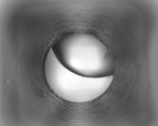 X0000067471057200604070947