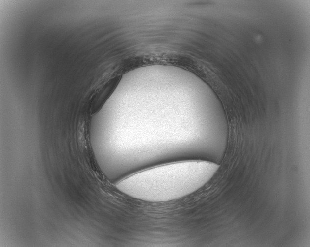 X0000067471060200604070947