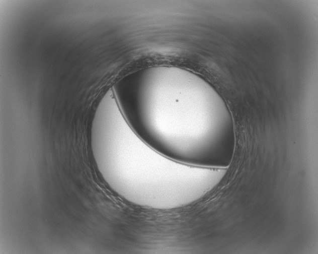 X0000067471061200604070947