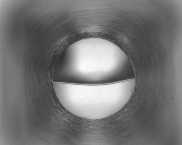 X0000067471062200604070947